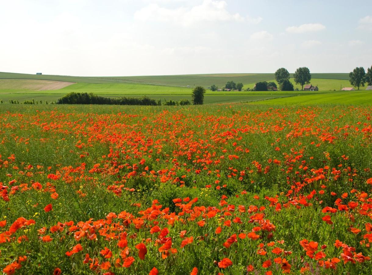The Silent Picket Bed and Breakfast Martinpuich Exteriör bild