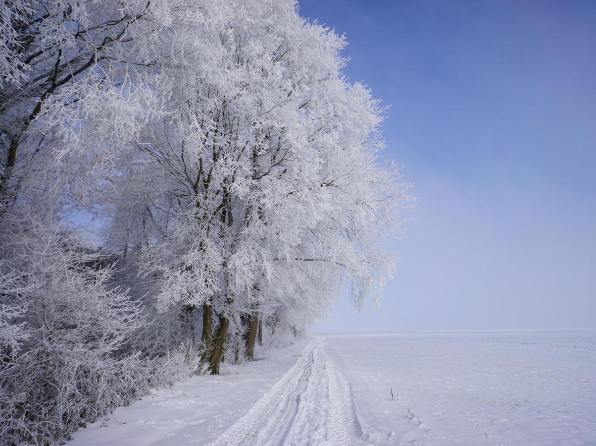 The Silent Picket Bed and Breakfast Martinpuich Exteriör bild